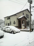 snow-h.jpg